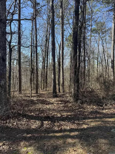 000 Oyler Rd, Clinton, AR 72031