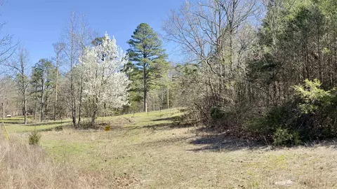 22 Red Lamb Rd, Melbourne, AR 72556 photo 3