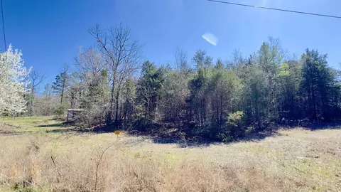 22 Red Lamb Rd, Melbourne, AR 72556 photo 4