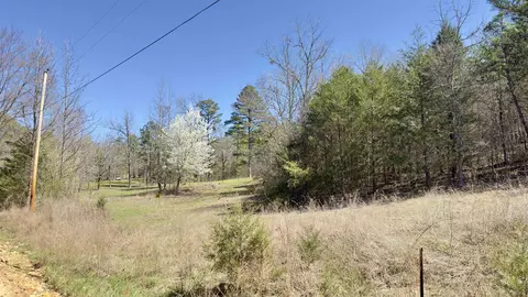 22 Red Lamb Rd, Melbourne, AR 72556 photo 7