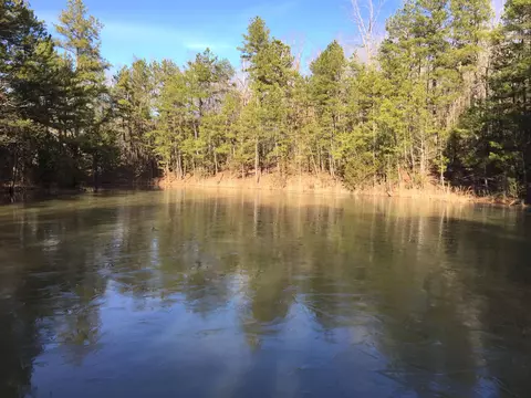 22 Red Lamb Rd, Melbourne, AR 72556 photo 2
