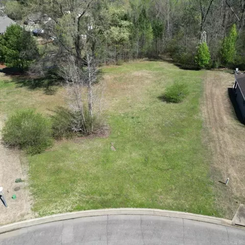 000 Bent Tree Ln, Searcy, AR 72143 photo 4