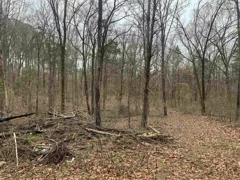 327 Pine Timber Ln, Bee Branch, AR 72039 photo 6