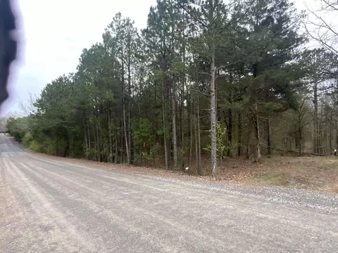 327 Pine Timber Ln, Bee Branch, AR 72039 photo 3