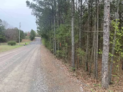 327 Pine Timber Ln, Bee Branch, AR 72039 photo 4