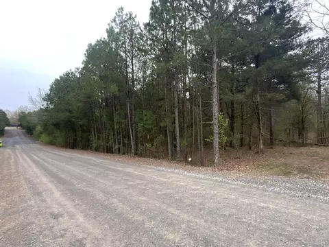 327 Pine Timber Ln, Bee Branch, AR 72039 photo 2