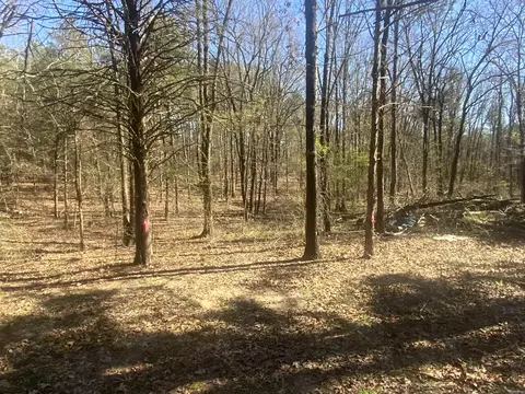 327 Pine Timber Ln, Bee Branch, AR 72039 photo 11