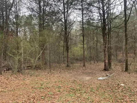327 Pine Timber Ln, Bee Branch, AR 72039 photo 7