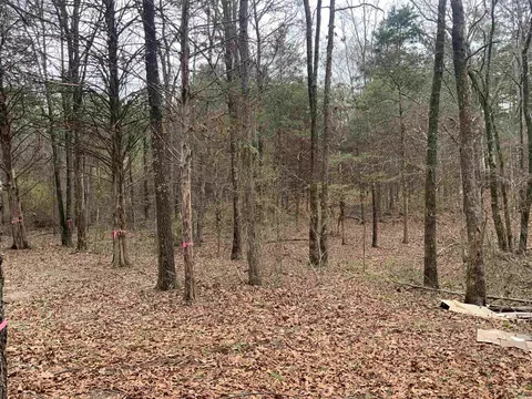 327 Pine Timber Ln, Bee Branch, AR 72039 photo 5