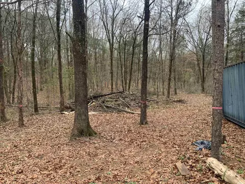 327 Pine Timber Ln, Bee Branch, AR 72039 photo 8