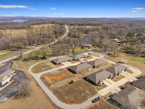 View/Area - 38 Devonshire Cir, Lakeview, AR 72642 photo 2 of 9