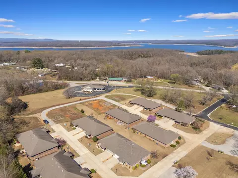 View/Area - 38 Devonshire Cir, Lakeview, AR 72642 photo 3 of 9