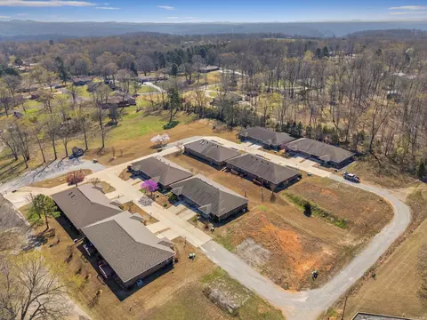 View/Area - 38 Devonshire Cir, Lakeview, AR 72642 photo 1 of 9
