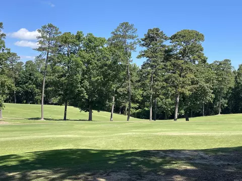 13 Ensenada Ln, Hot Springs Village, AR 71909