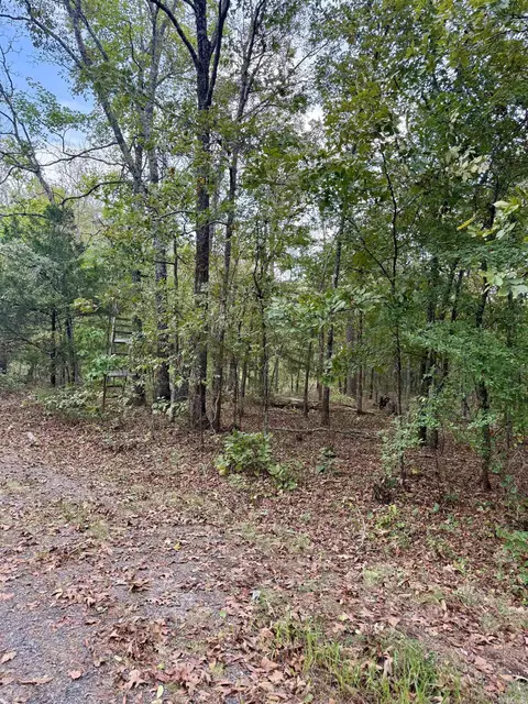 lot5 6 Ellen, Higden, AR 72067 photo 5