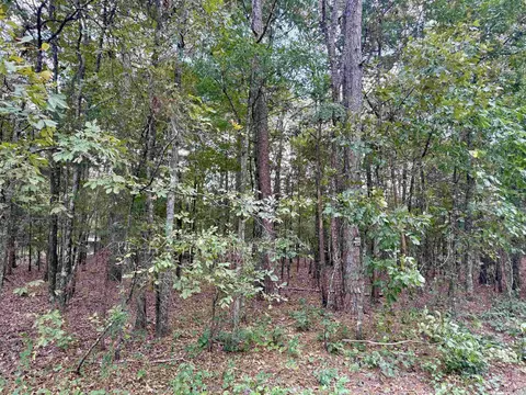 lot5 6 Ellen, Higden, AR 72067 photo 7