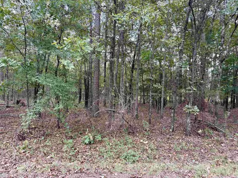 lot5 6 Ellen, Higden, AR 72067 photo 6