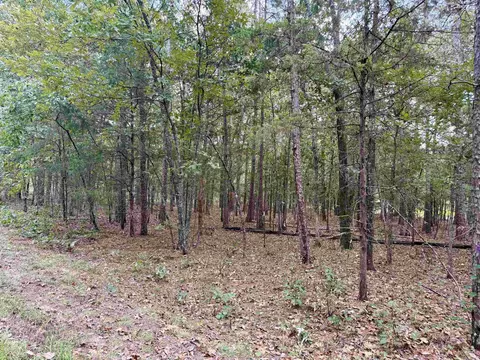lot5 6 Ellen, Higden, AR 72067 photo 3