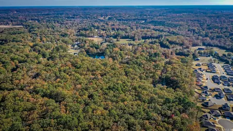 2650 Hilldale Rd, Alexander, AR 72002 photo 26