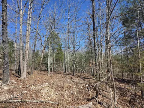 L28 B3 Gheetowaga Drive, Cherokee Village, AR 72529