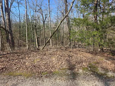 9 Pahokee Drive # l, Cherokee Village, AR 72529