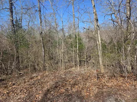 L42 B9 Pahokee Drive, Cherokee Village, AR 72529