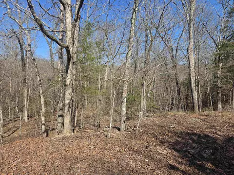 L41 B9 Pahokee Drive, Cherokee Village, AR 72529