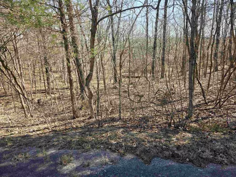 L16 B8 Lochloosa Drive, Cherokee Village, AR 72529