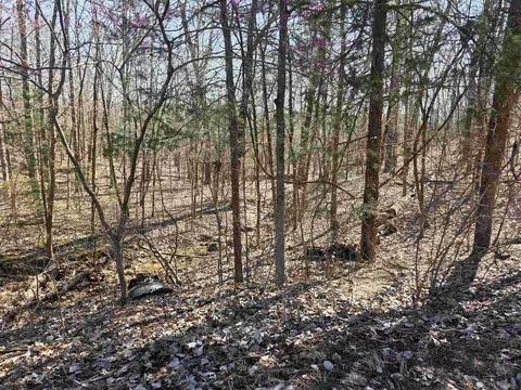 L15 B8 Lochloosa Drive, Cherokee Village, AR 72529