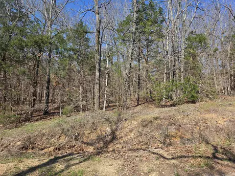 L7 B8 Hopi Drive, Cherokee Village, AR 72529