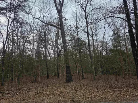 L19 B6 Big Horn Drive, Cherokee Village, AR 72529