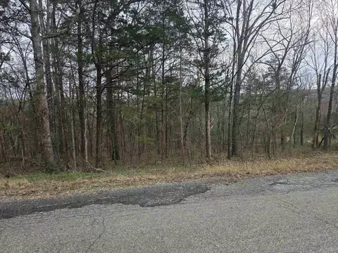 L9 B3 Mineola Drive, Cherokee Village, AR 72529