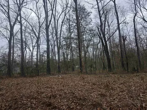 L33 B2 Cherokee Road, Cherokee Village, AR 72529