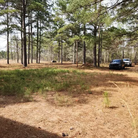 Exterior - 149 Pine Ridge Bismarck, Bismarck, AR 71929 photo 7 of 7