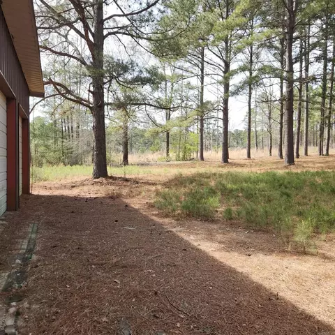 Exterior - 149 Pine Ridge Bismarck, Bismarck, AR 71929 photo 6 of 7