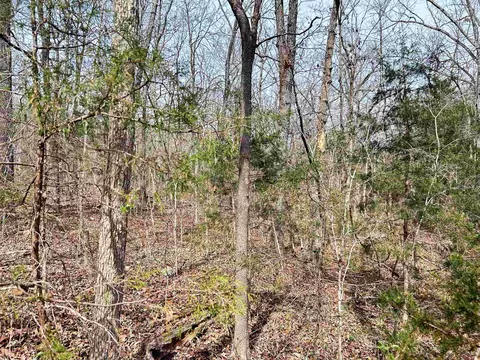 tbd Giles Rd, Hardy, AR 72542 photo 4