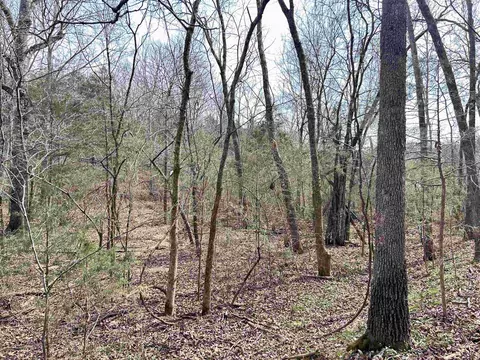 tbd Giles Rd, Hardy, AR 72542 photo 5