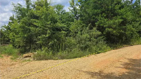 159 Ellison Rd, Rison, AR 71665 photo 19