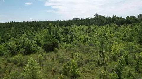 159 Ellison Rd, Rison, AR 71665 photo 21