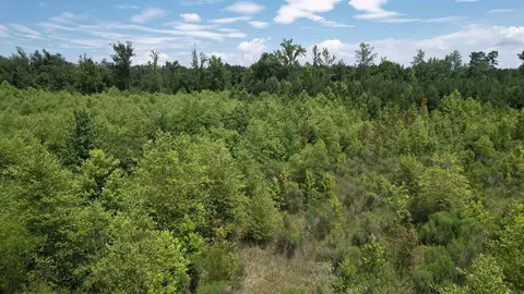 159 Ellison Rd, Rison, AR 71665 photo 20