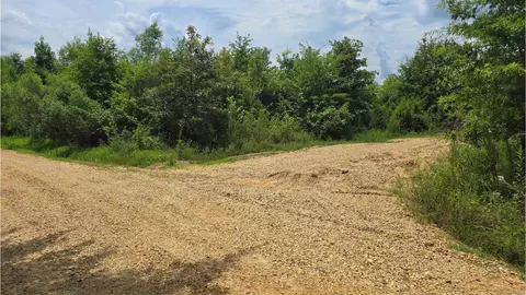159 Ellison Rd, Rison, AR 71665