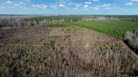 159 Ellison Rd, Rison, AR 71665 photo 10