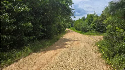 159 Ellison Rd, Rison, AR 71665 photo 17