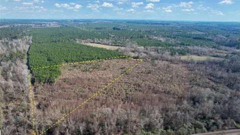 159 Ellison Rd, Rison, AR 71665 photo 5