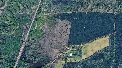 159 Ellison Rd, Rison, AR 71665 photo 3