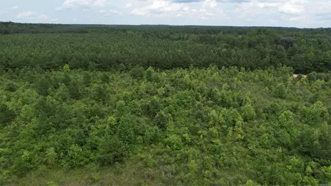 159 Ellison Rd, Rison, AR 71665 photo 23