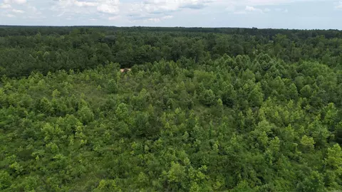 159 Ellison Rd, Rison, AR 71665 photo 22