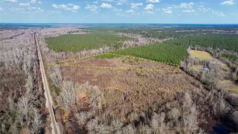 159 Ellison Rd, Rison, AR 71665 photo 7