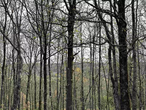 lot2 Kenzie Rdrocky Branch Ests, Beebe, AR 72012