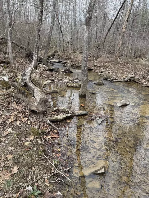 Other - 2085 Quicksilver Rd, Leslie, AR 72645 photo 2 of 14
